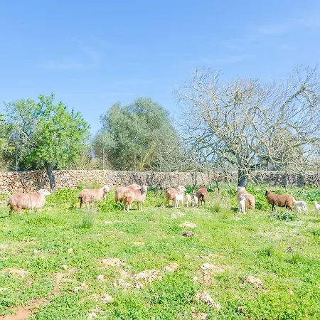 Villa Potdir Ariany