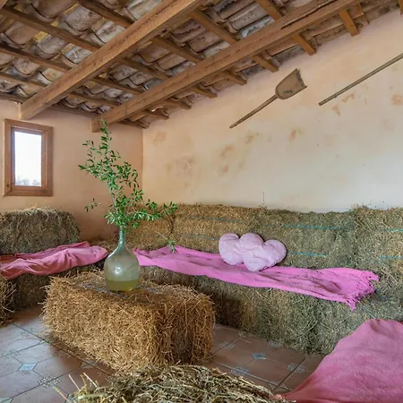 Potdir Villa Ariany